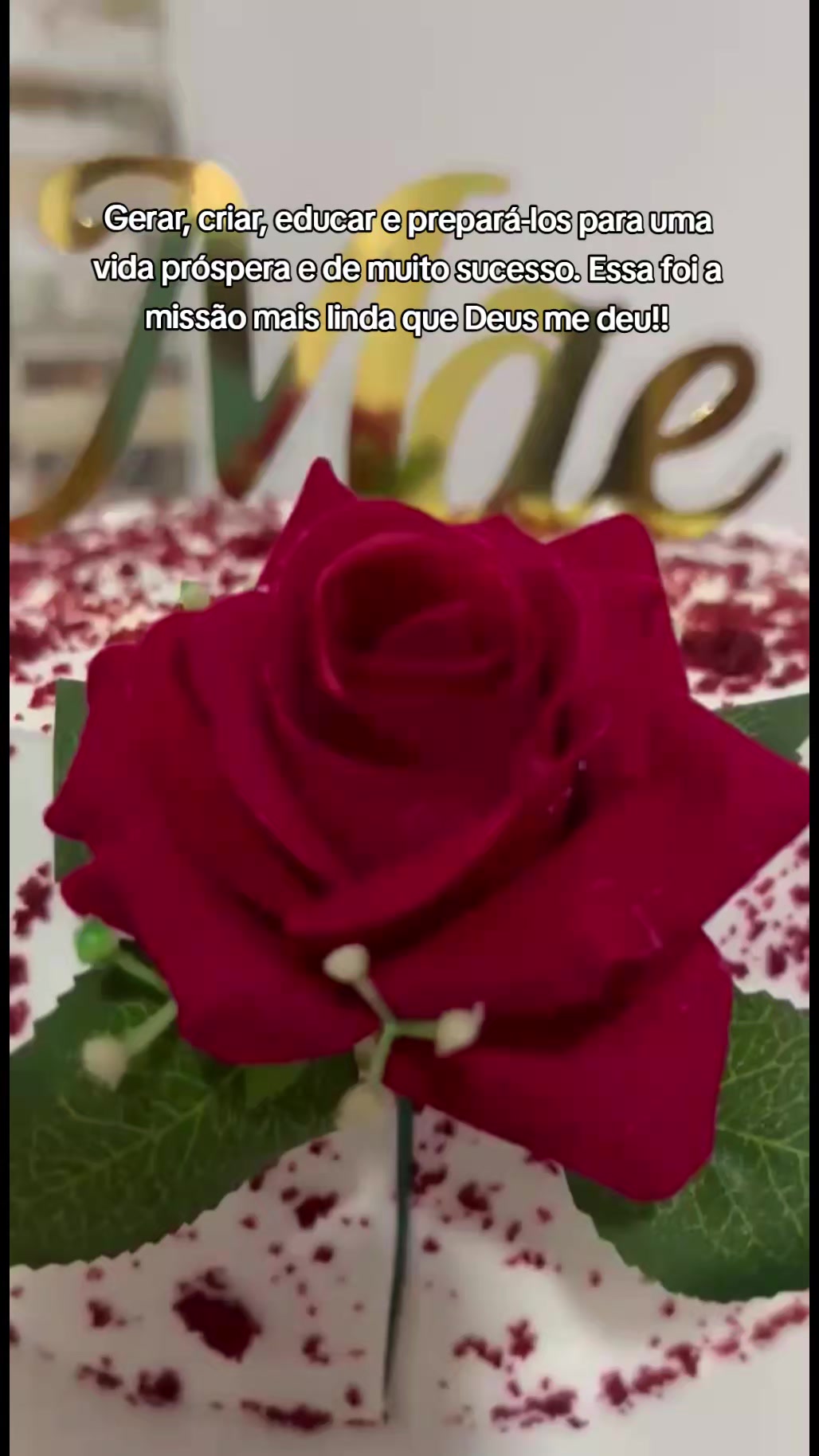 @carlasoares3435