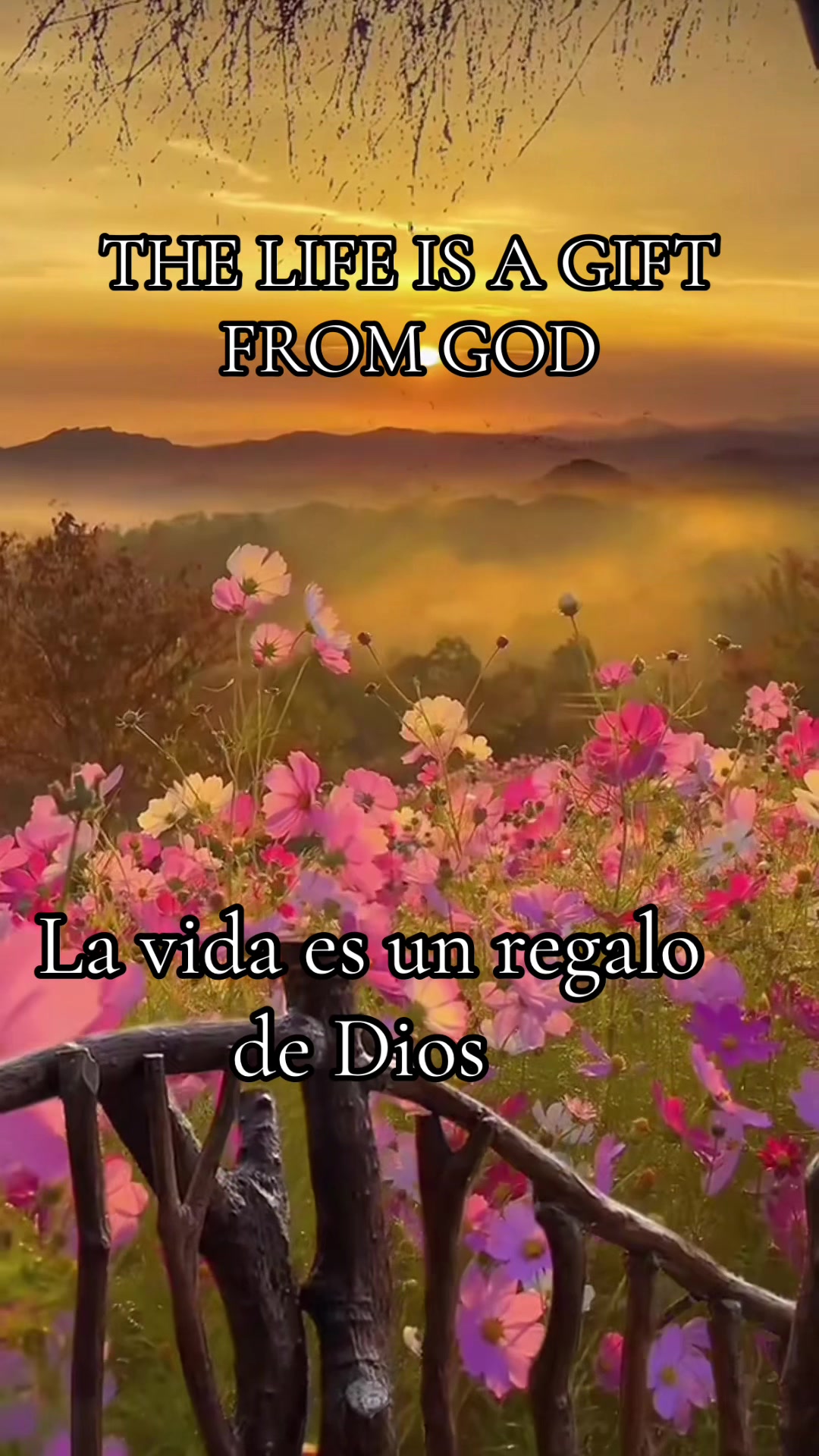 @Adelsomusicacristiana