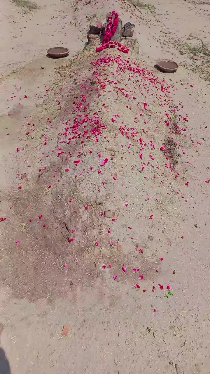 @Irfan laliya 🇵🇰