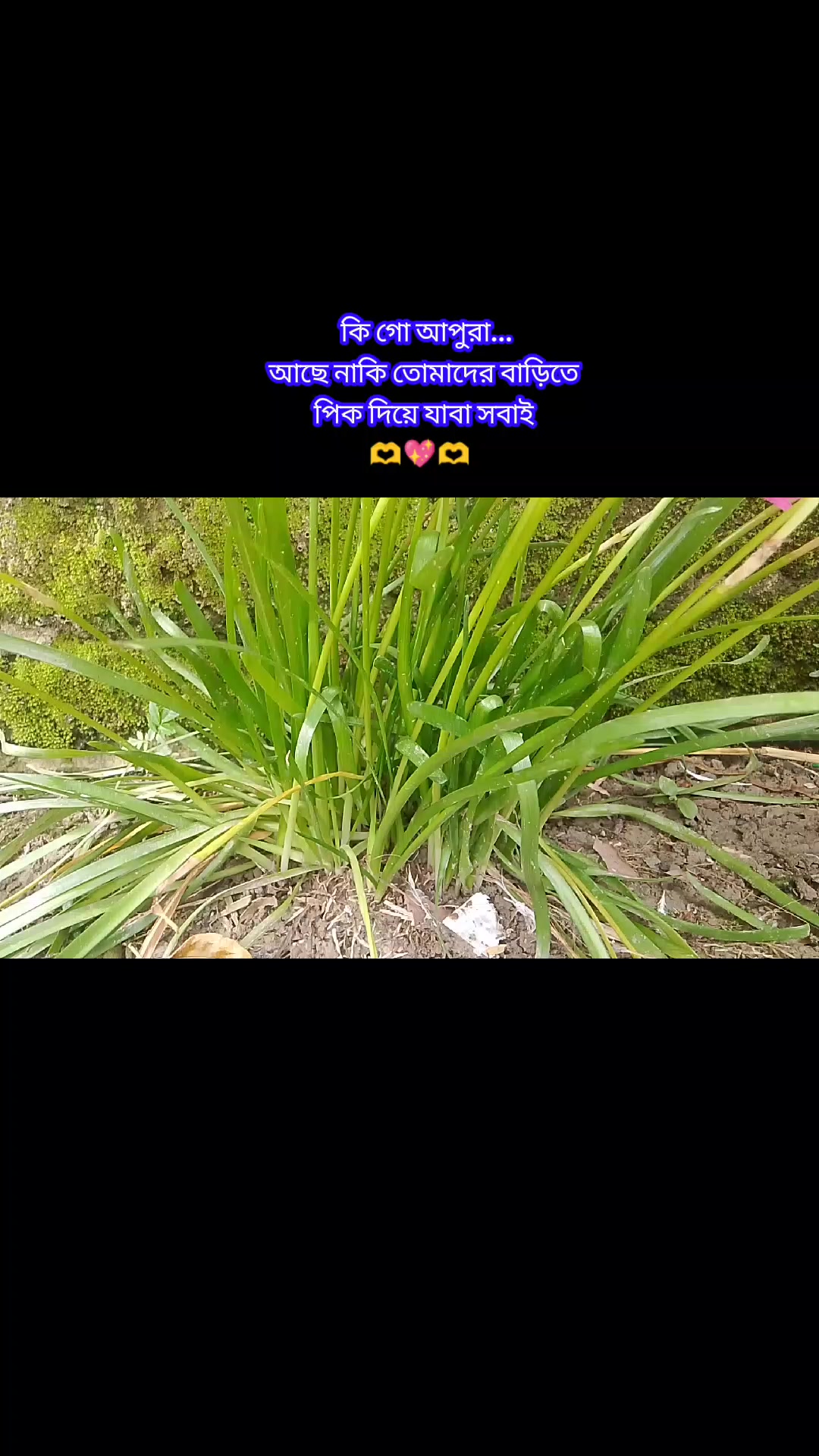 @Sumaya islam