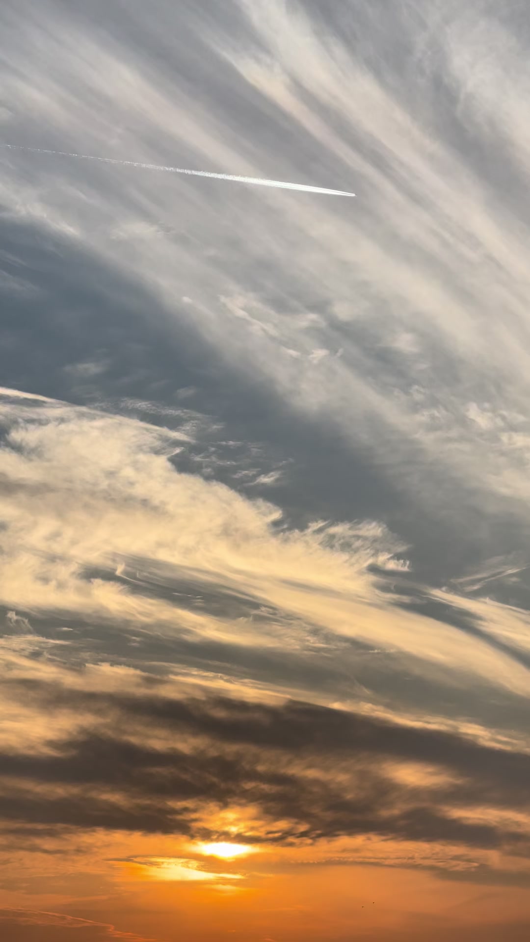 @𝗦𝗮𝗳𝗮 𝗸𝗮𝗿𝗲𝗲𝗺
