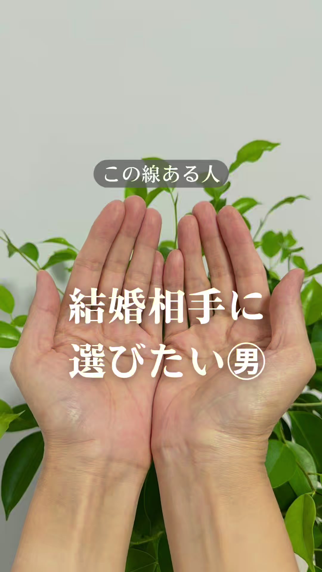 @shizue_tesou