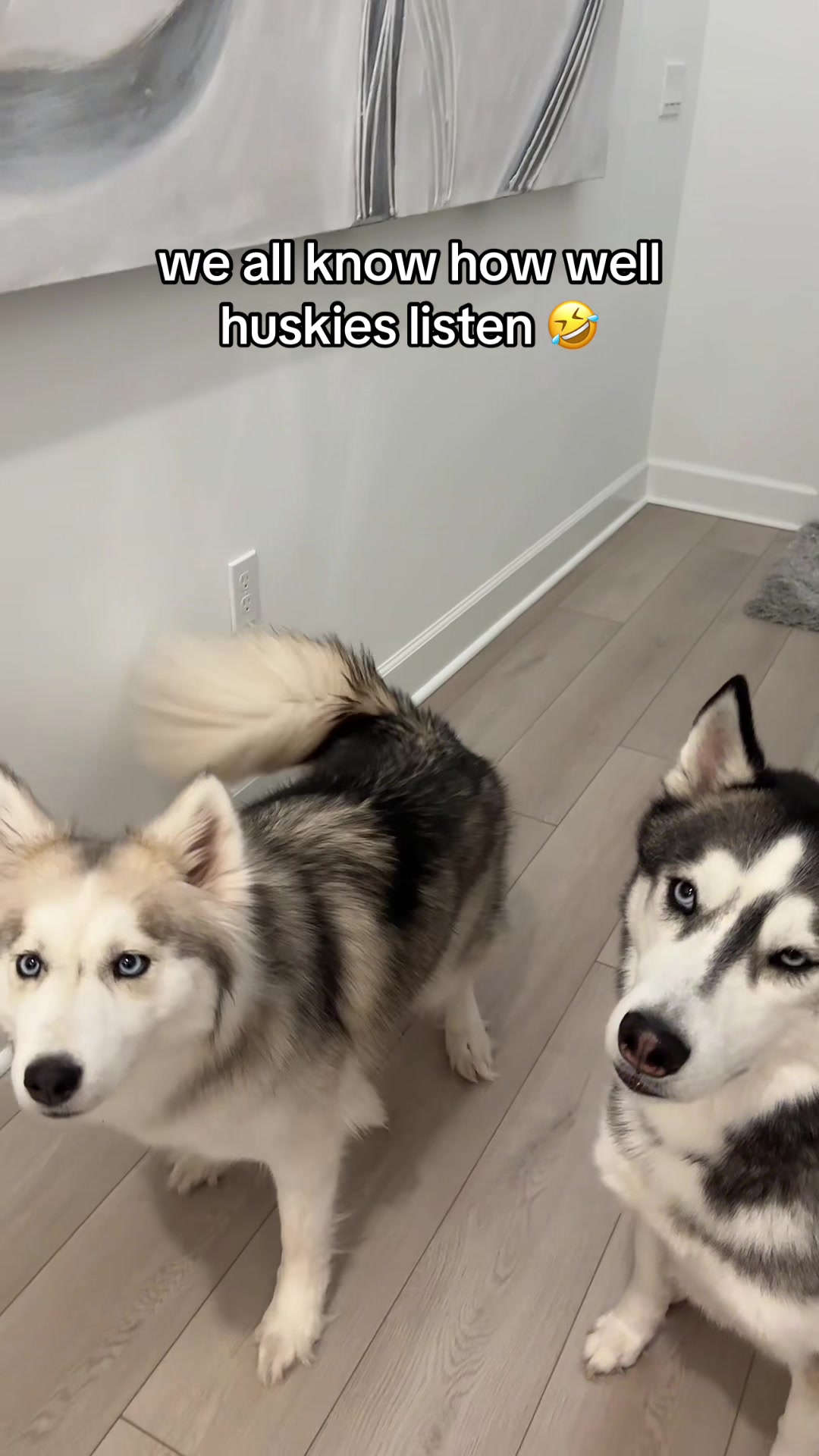 @lifewith2huskies