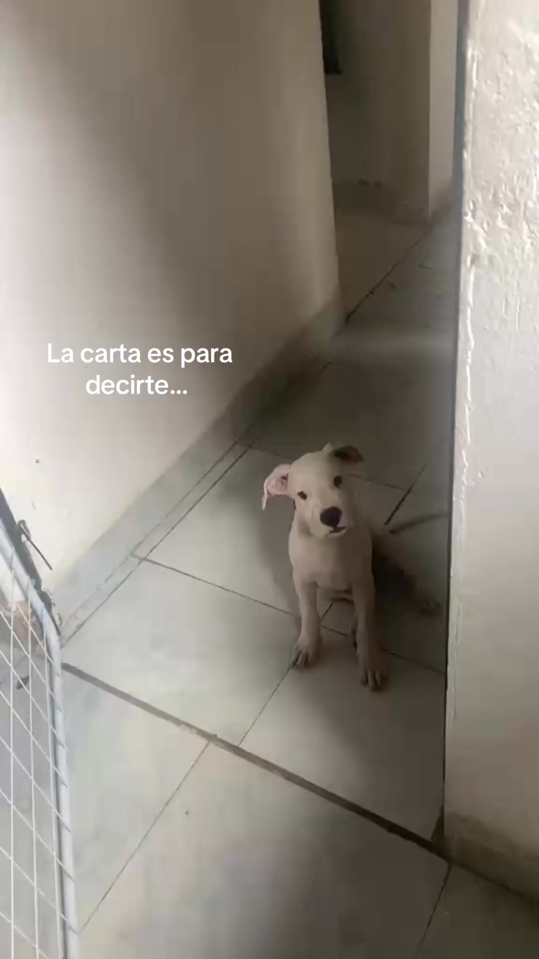 @Karen Espinoza 🐆
