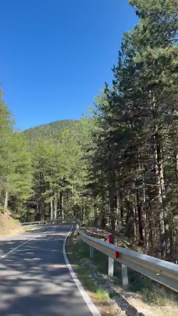 @elena_elena🇦🇱🇦🇱🇦🇱🇦🇱
