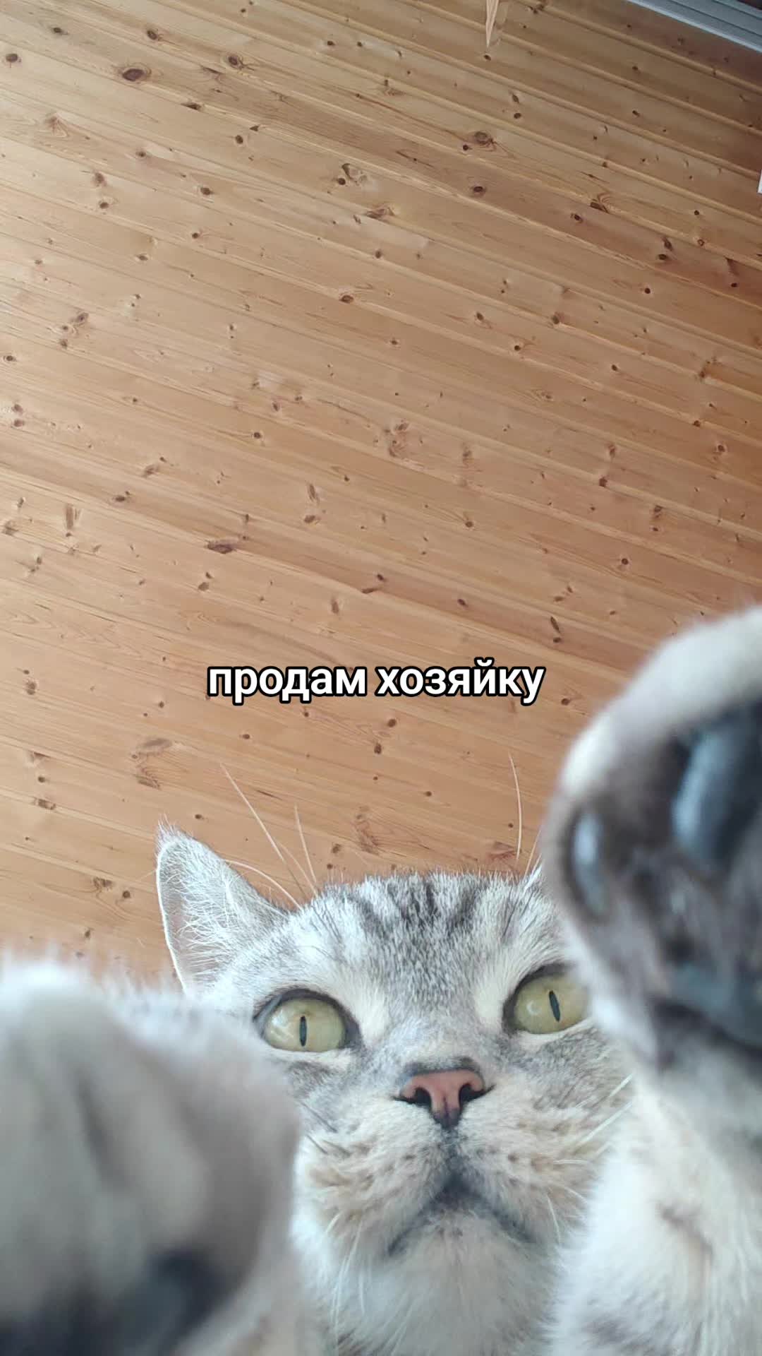 @𝙑𝙚𝙧𝙝𝙤𝙫𝙣𝙖𝙮𝙖