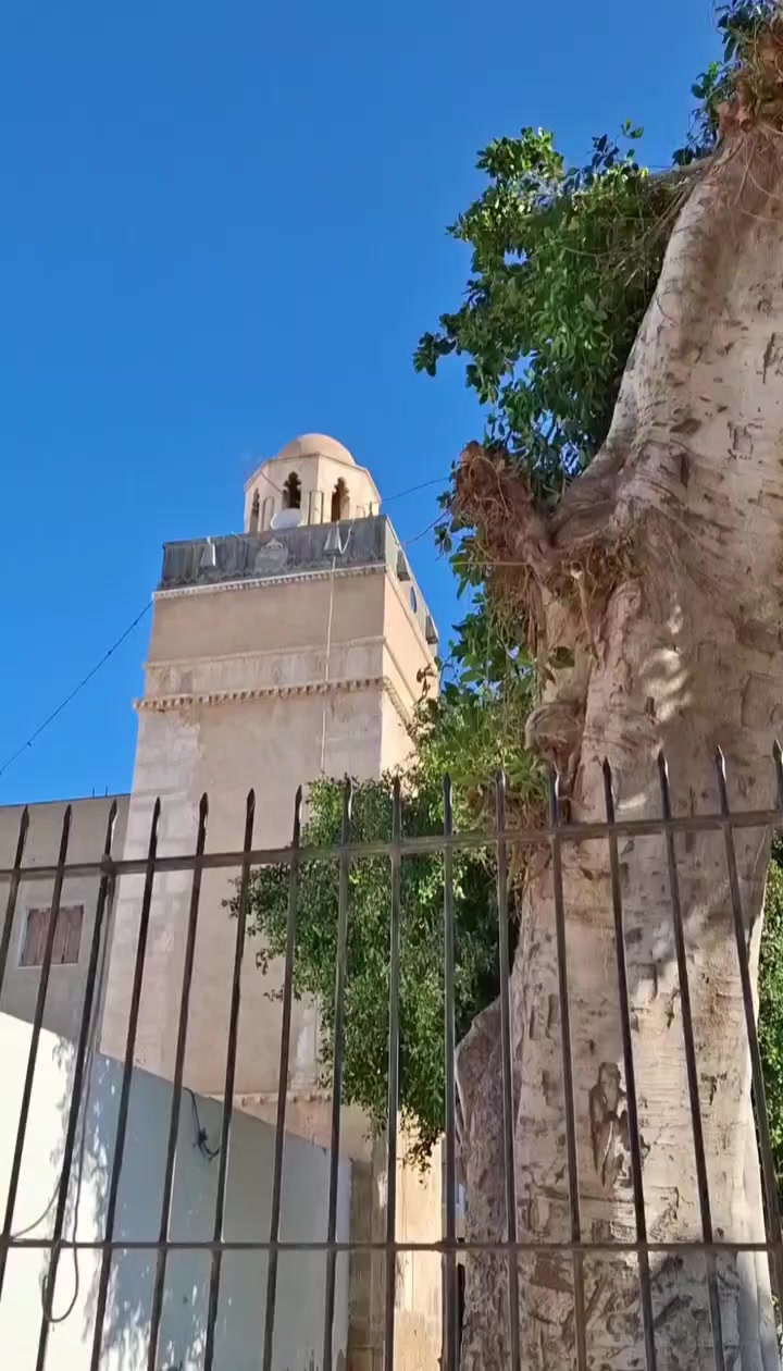 @صفاقس بين ايديك