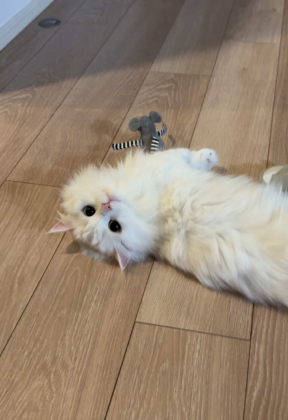 @ごろ