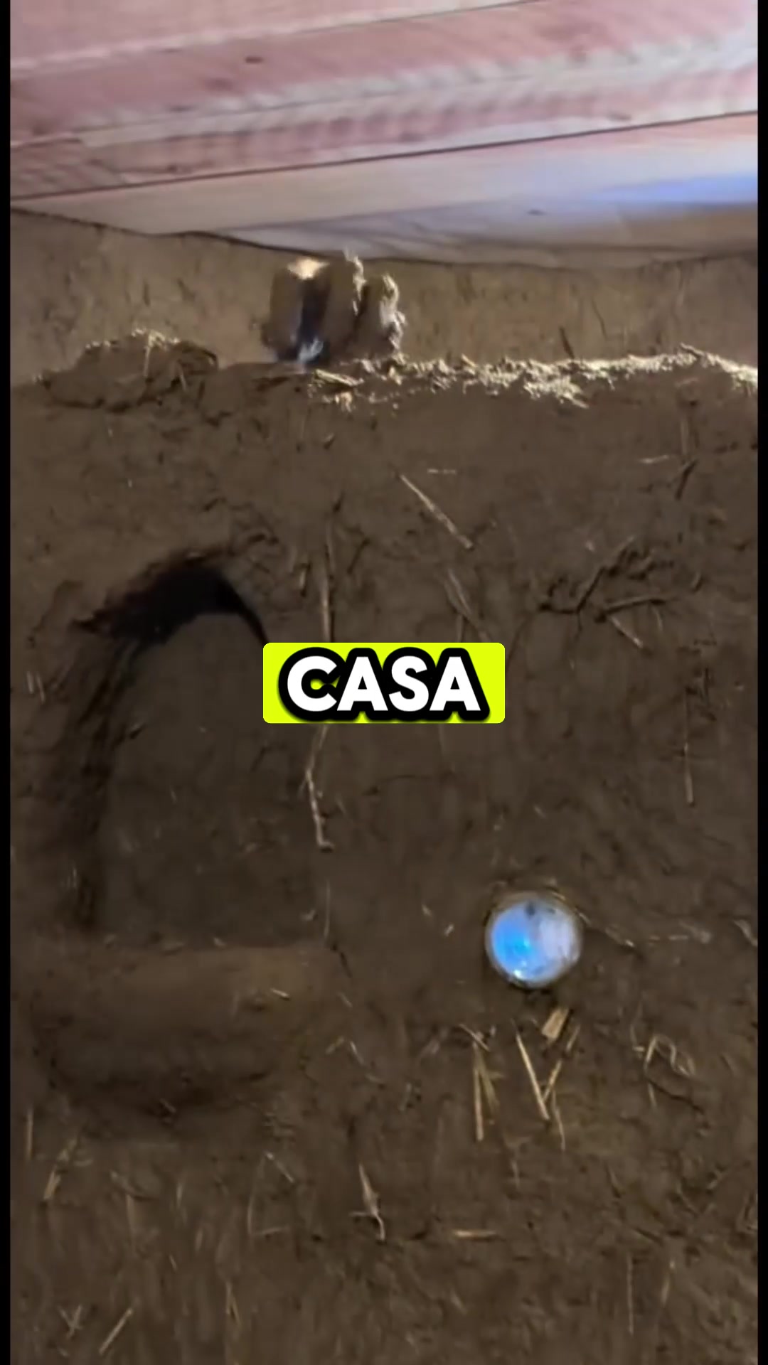 @Hacemosconcob