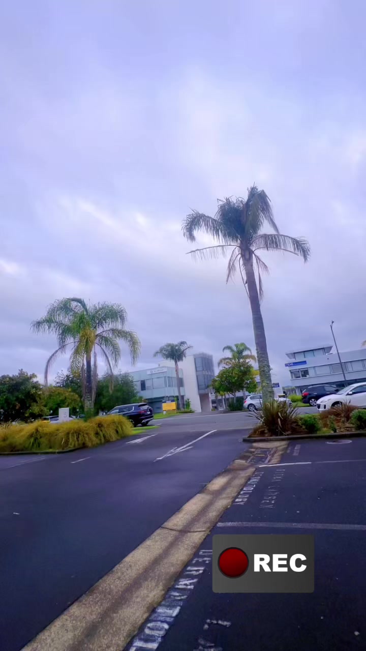 @Auckland wale