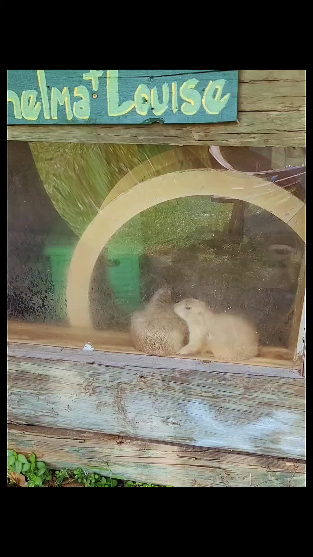 @Farmhouse Sanctuary