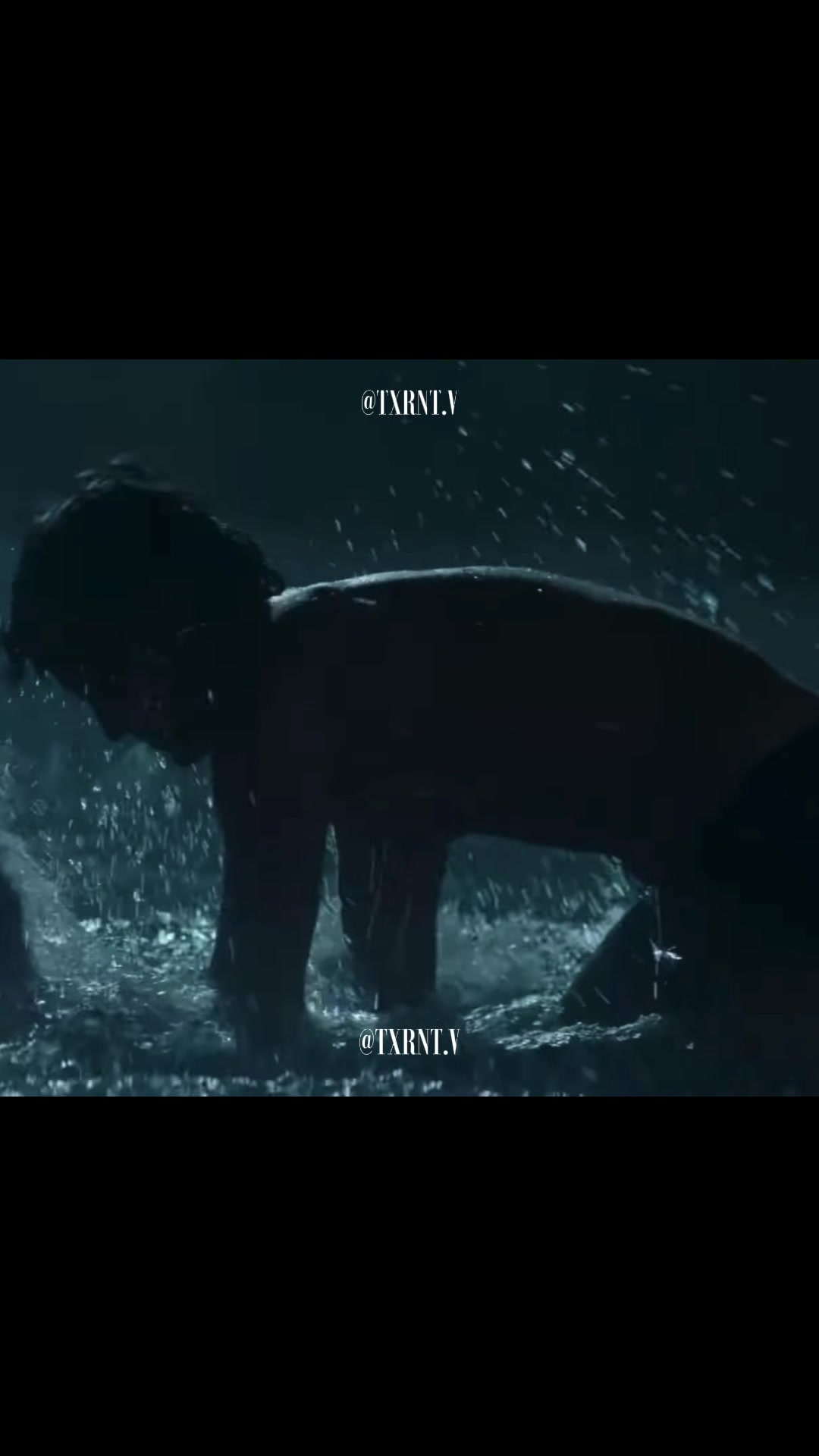 @Malachi🦈 🥊