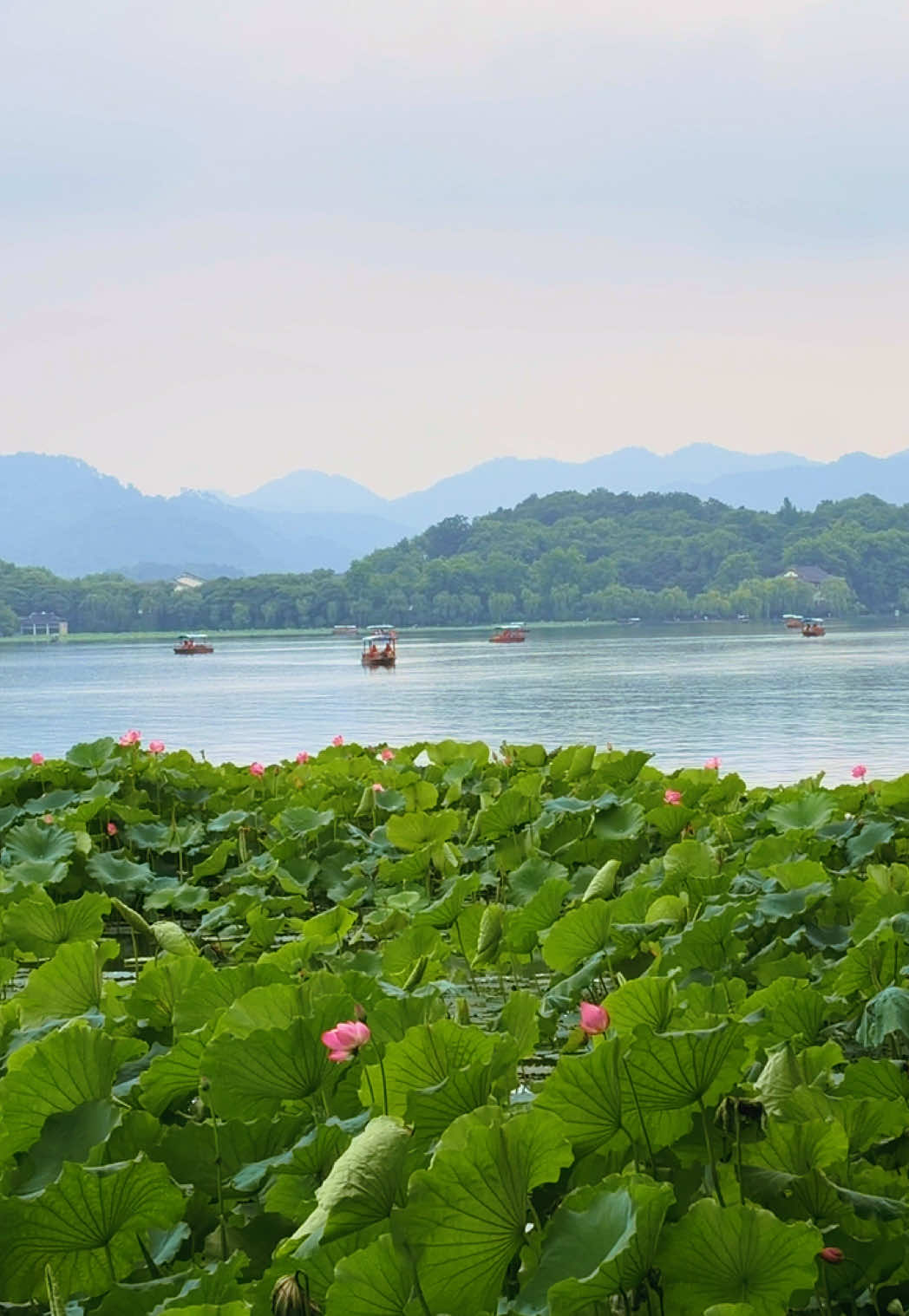 @金丽阳