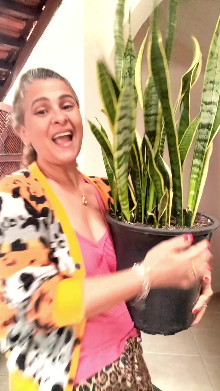 @Juliana Barros