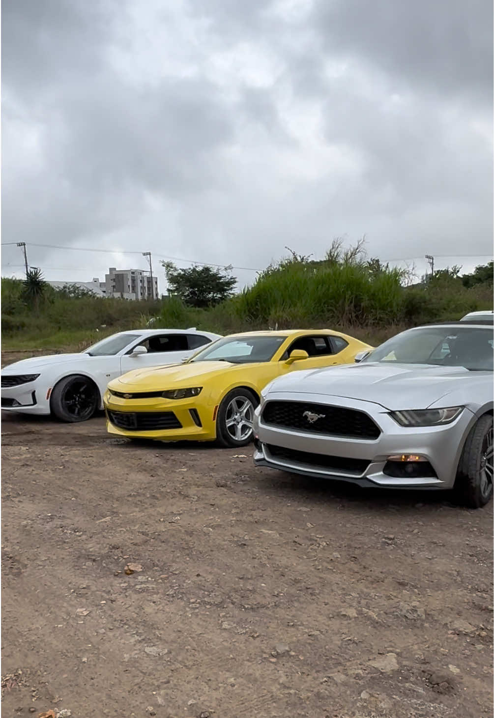@12 Cars