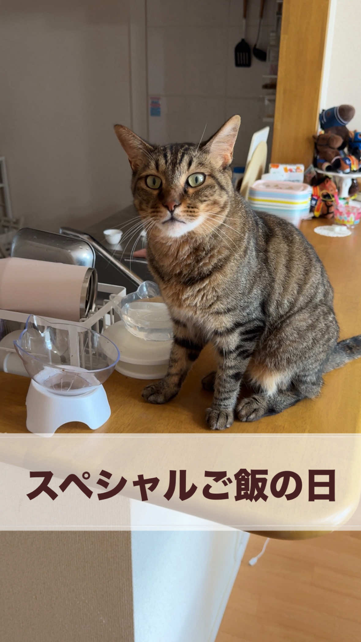 @さっことおちょ