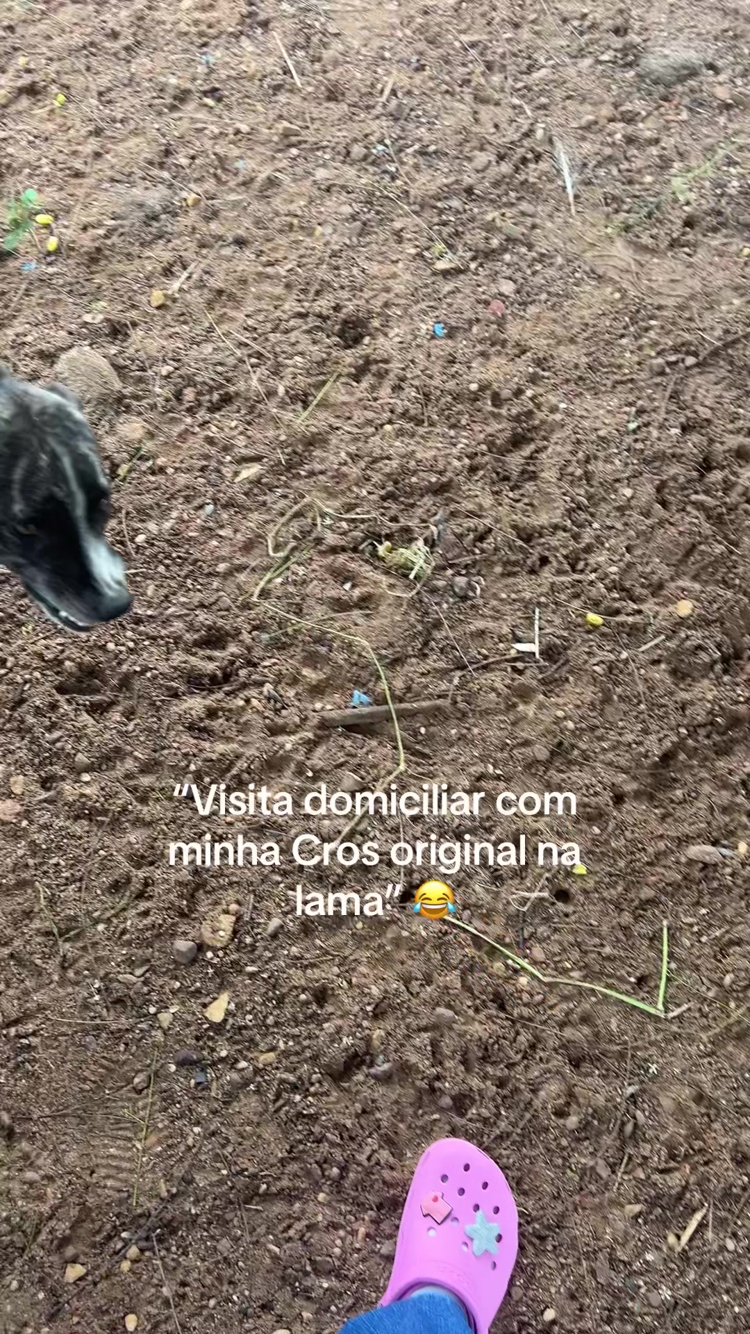 @Luane Lima
