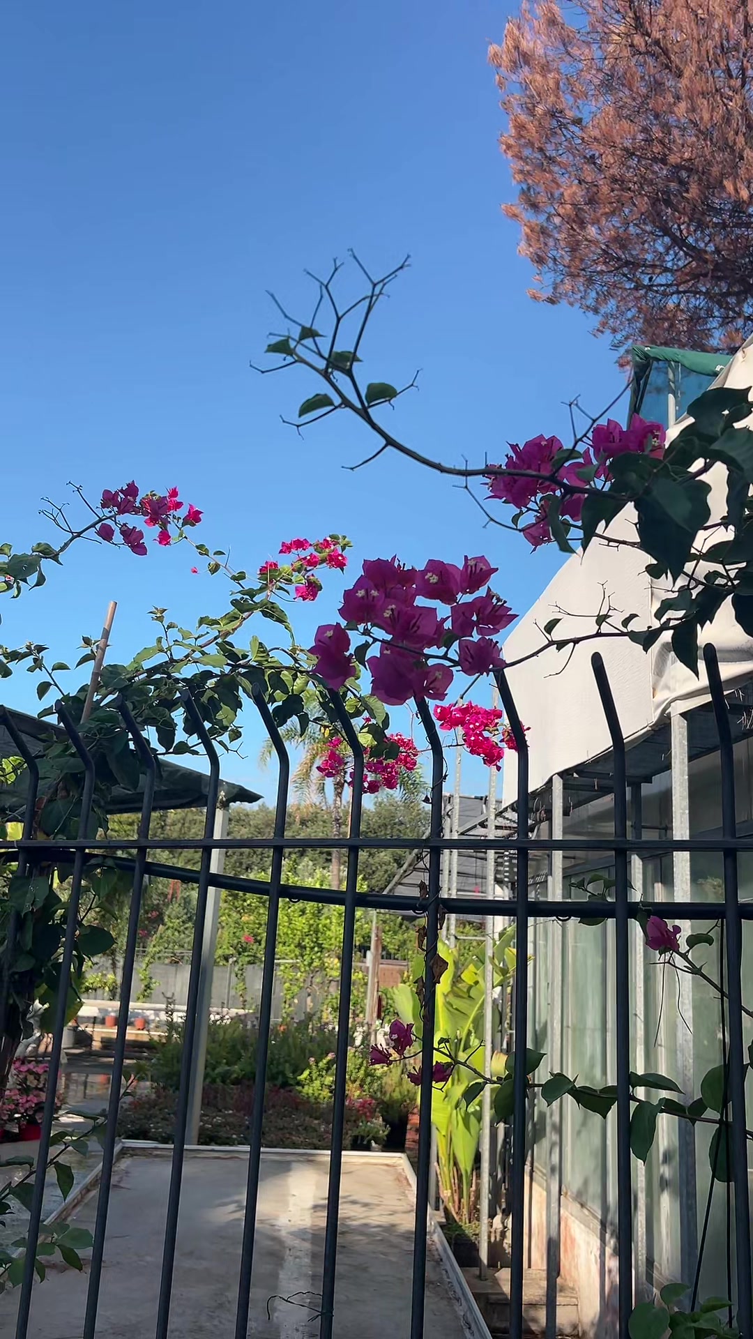 @vivaioanticogarden