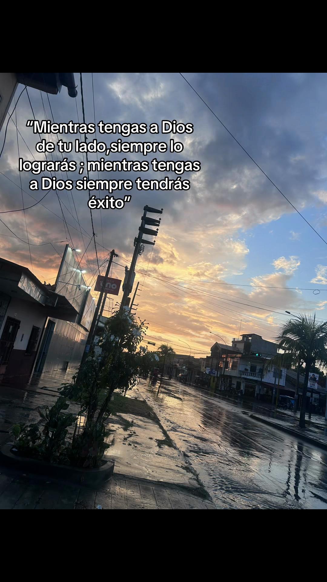 @lisvasquez