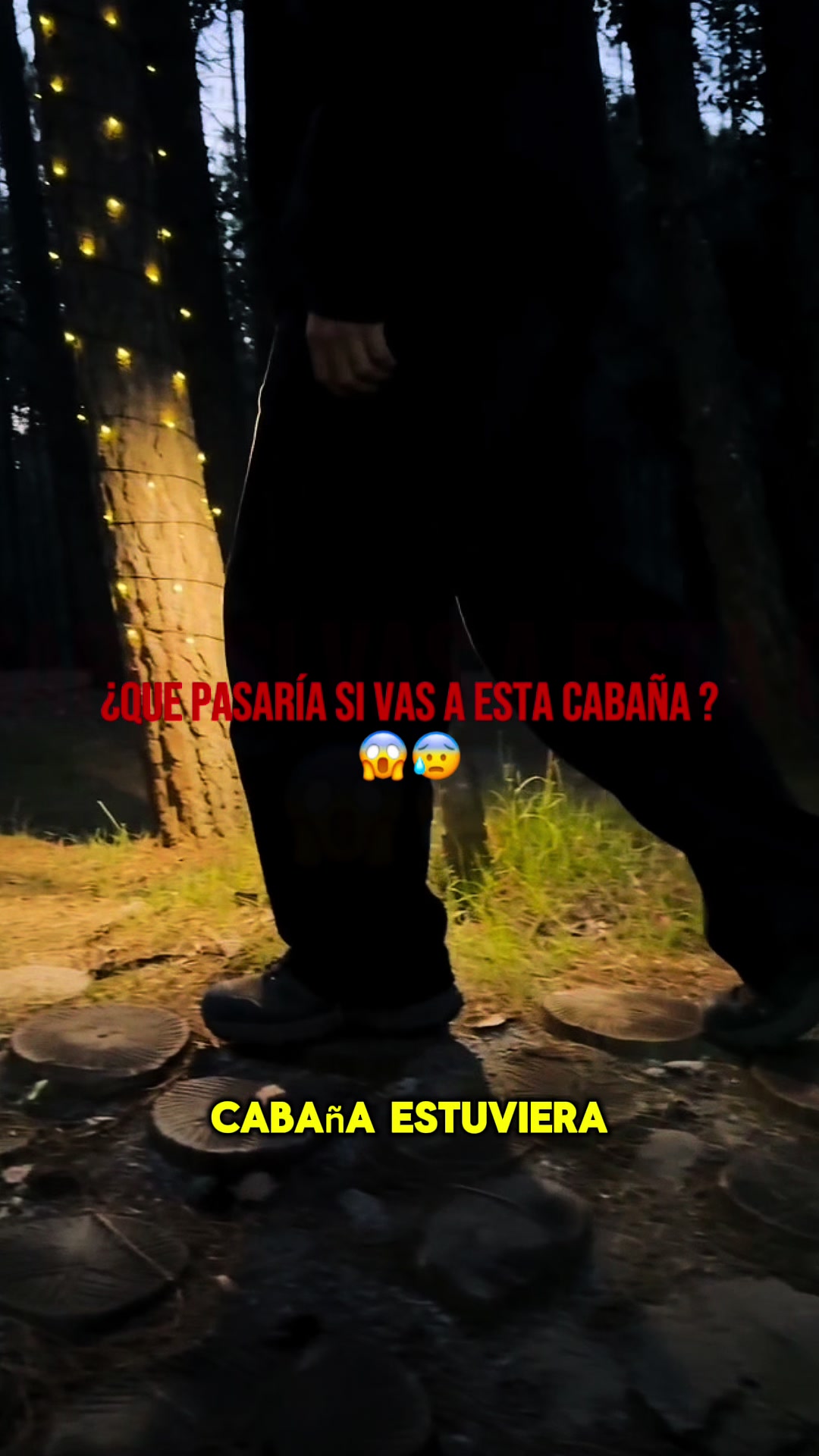 @Bosque Erase Una Vez