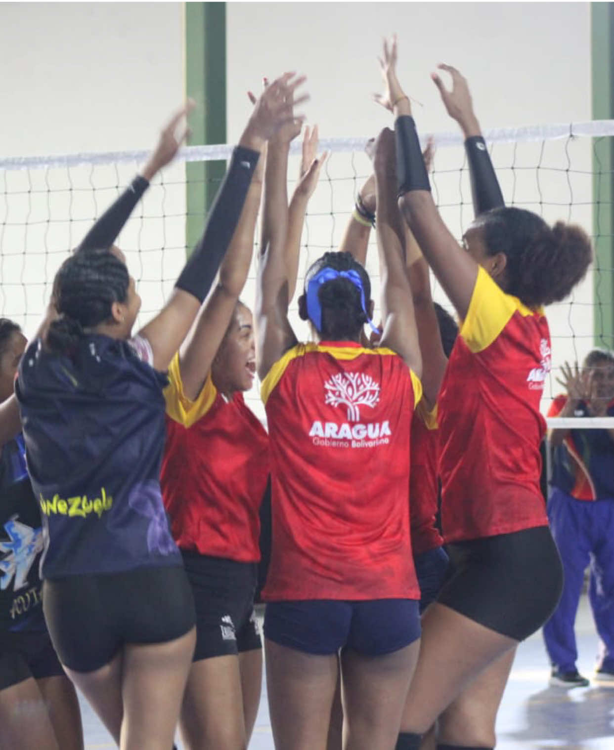 @Aragua Voleibol Club