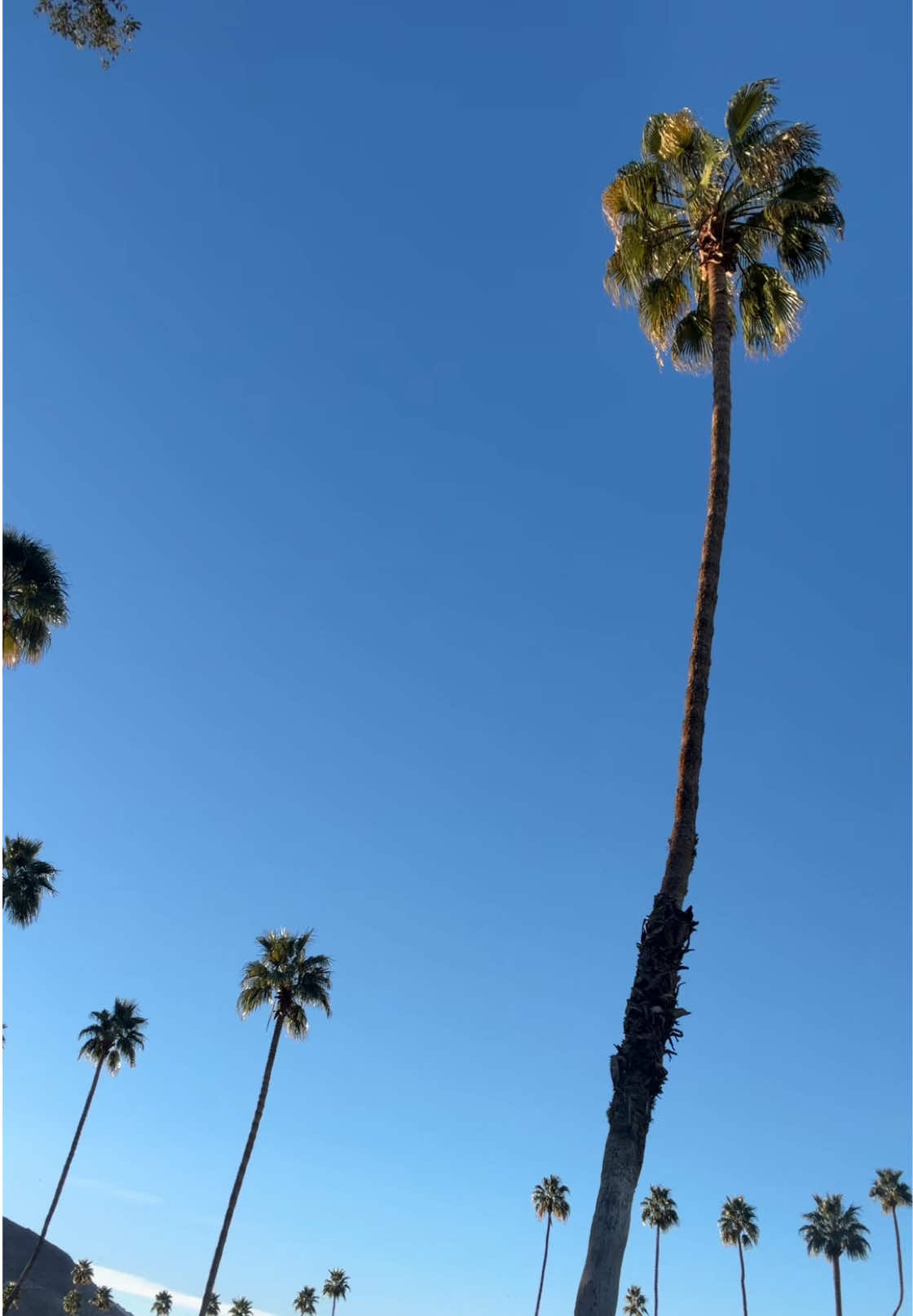 @eemmamccarthyy