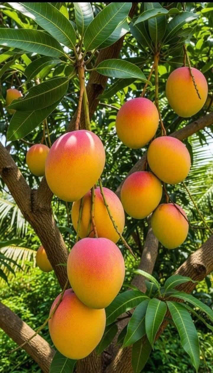 @📍Maggie 🇹🇿