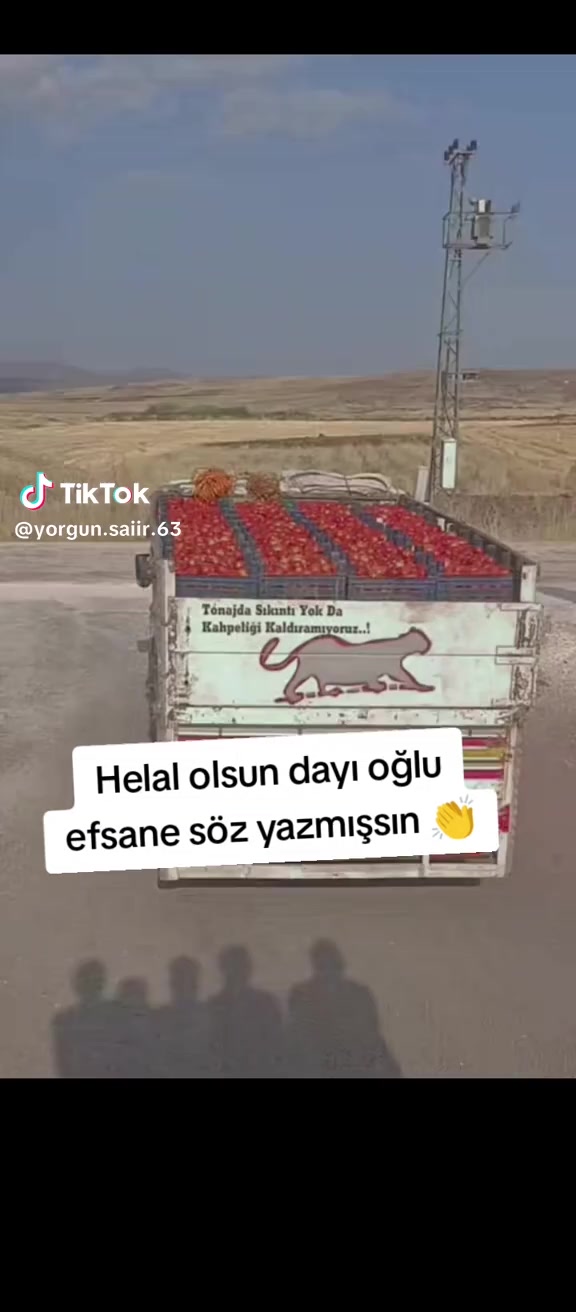 @Tanjucoskun51