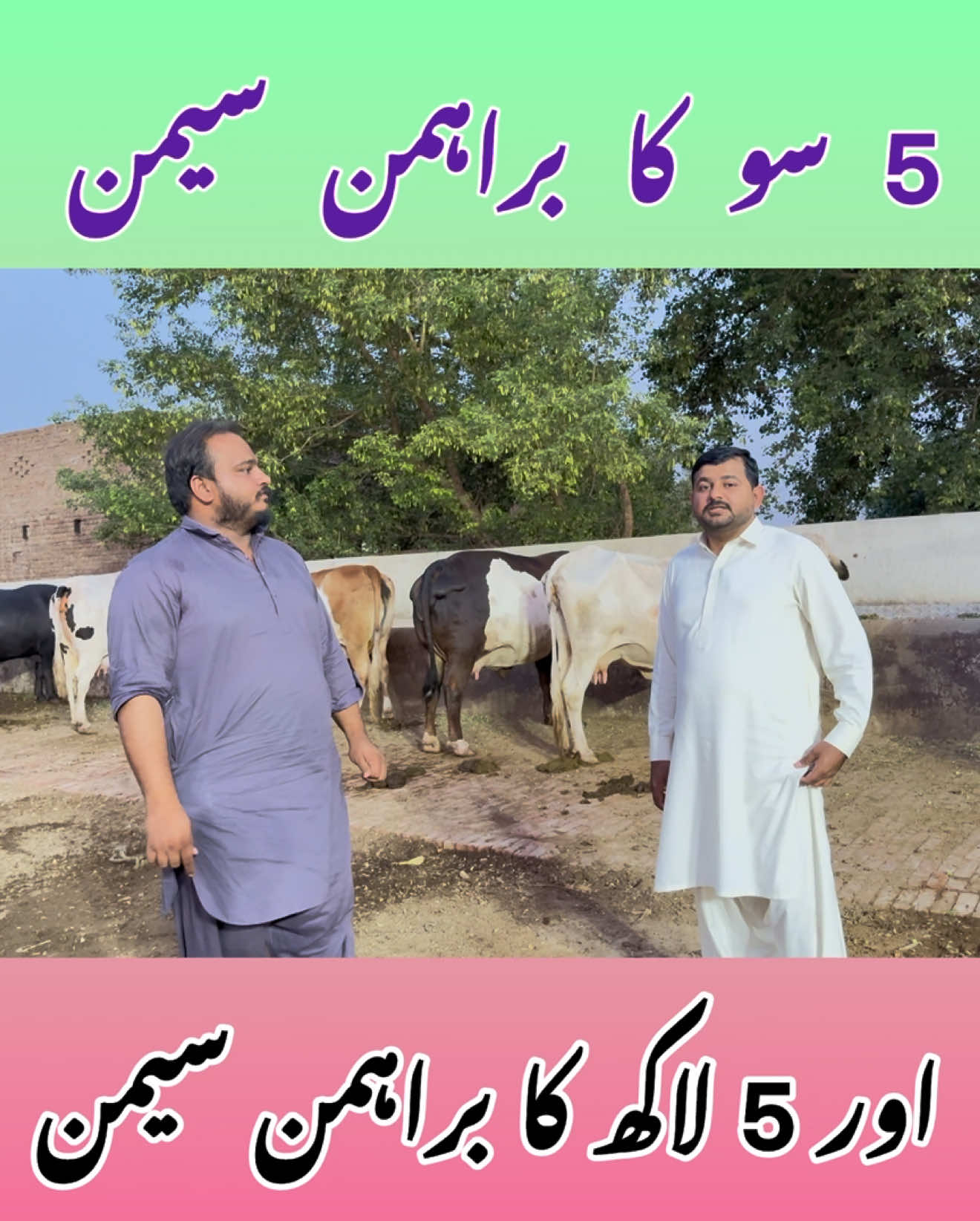 @Dr.Mohsin