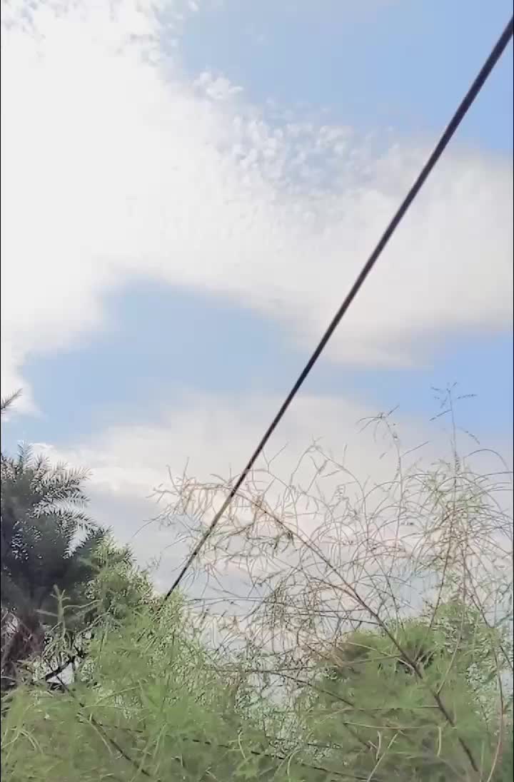 @ws🦅