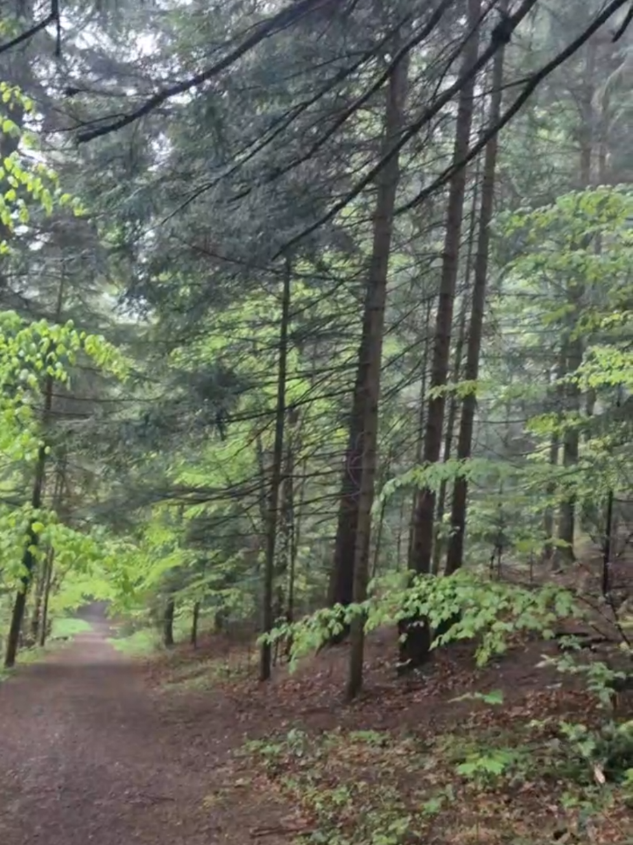 @Юрій