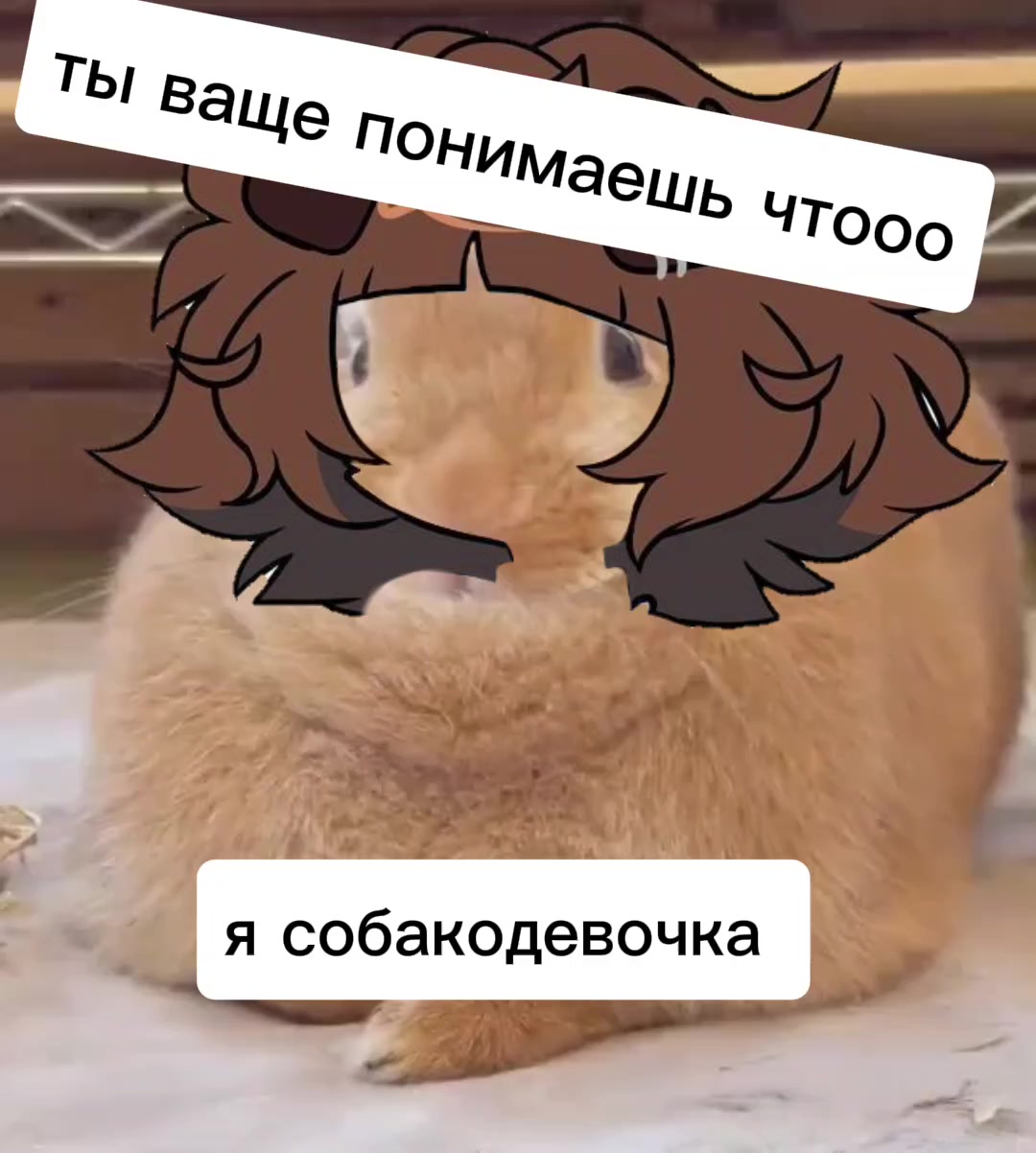@из 📍 Вращенец
