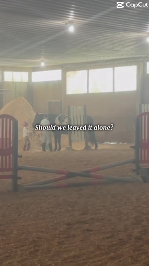 @keriashorse_spammmm