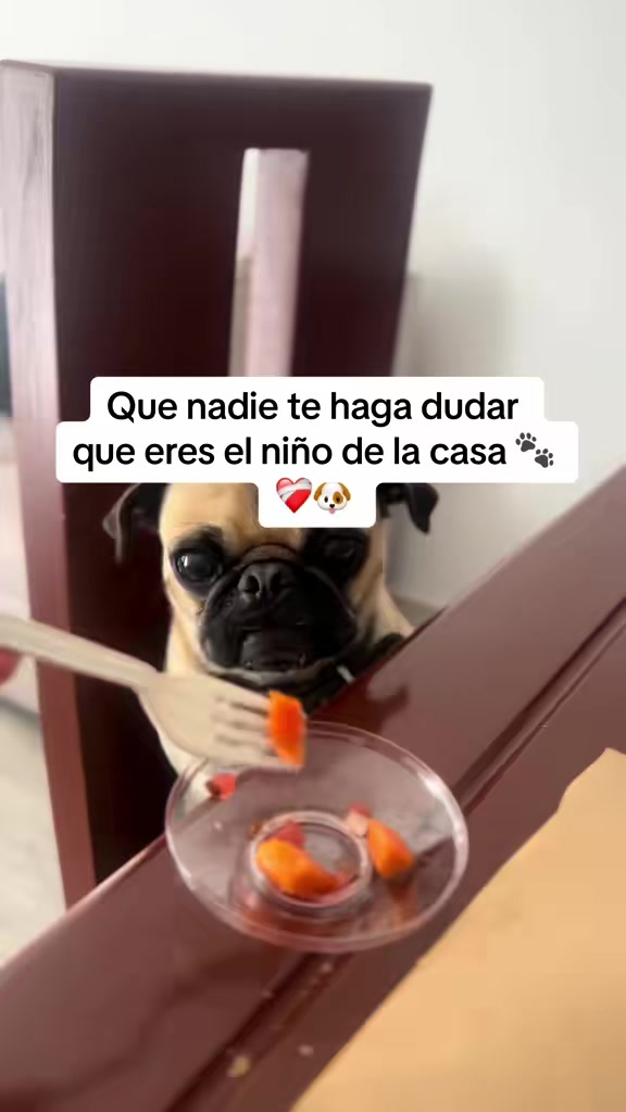 @Alexa&elcarnalchiss