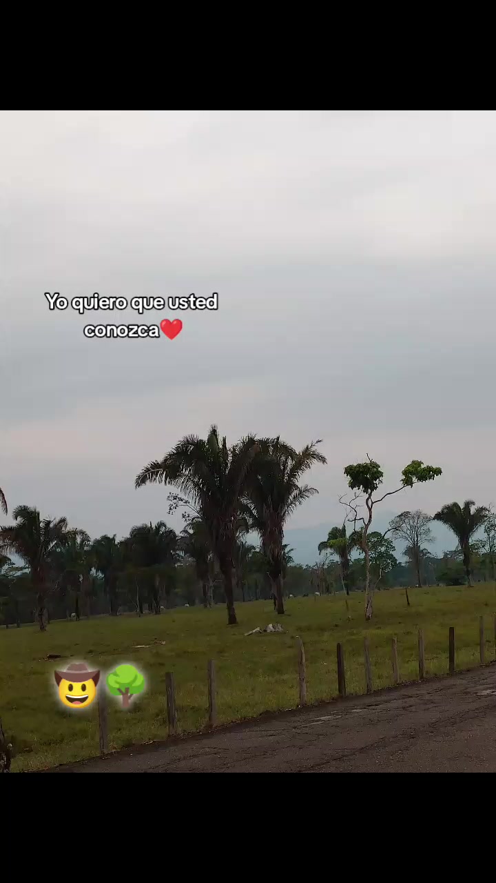 @R'icardito ๐
