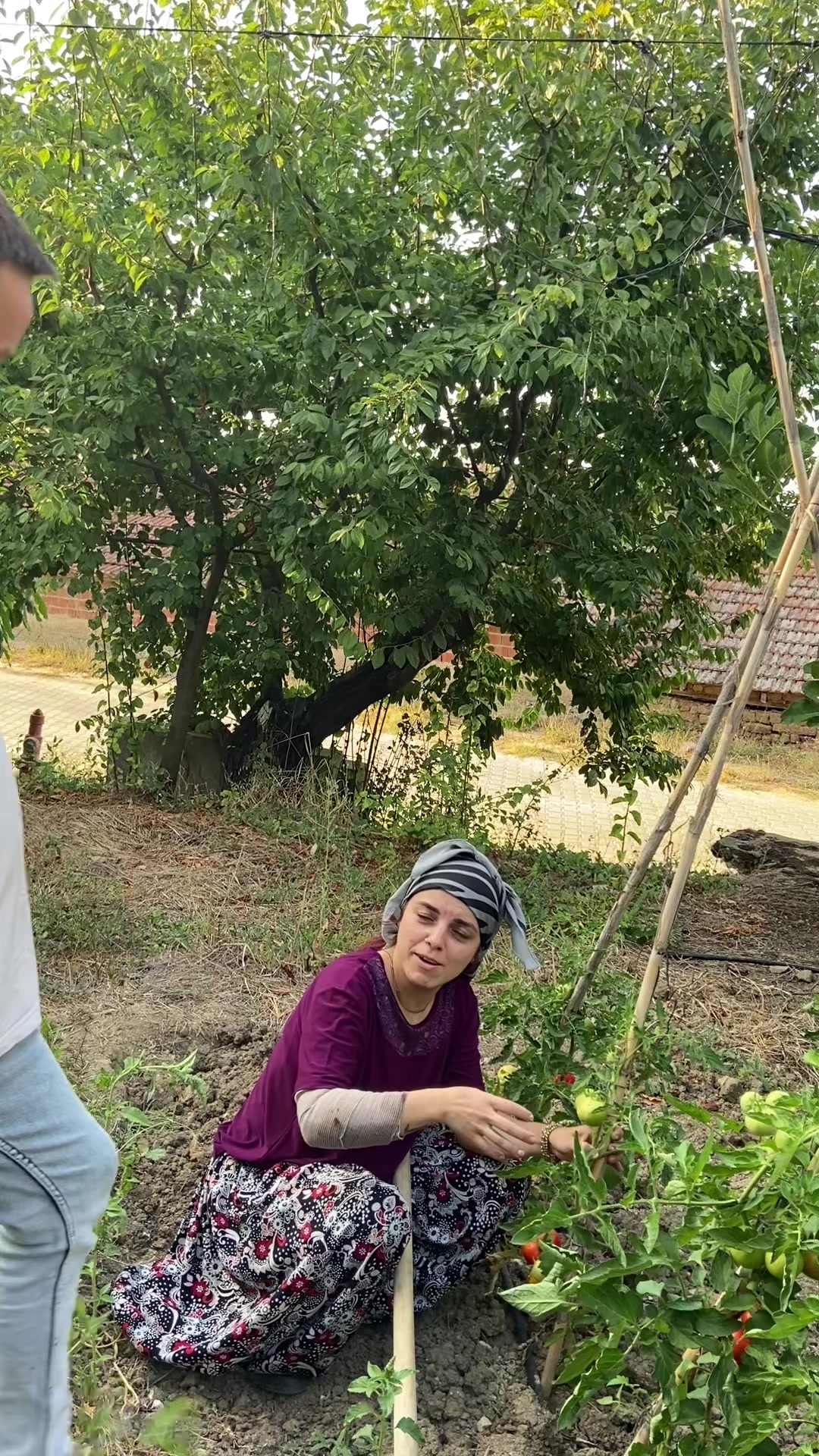 @haticekeskinolcar