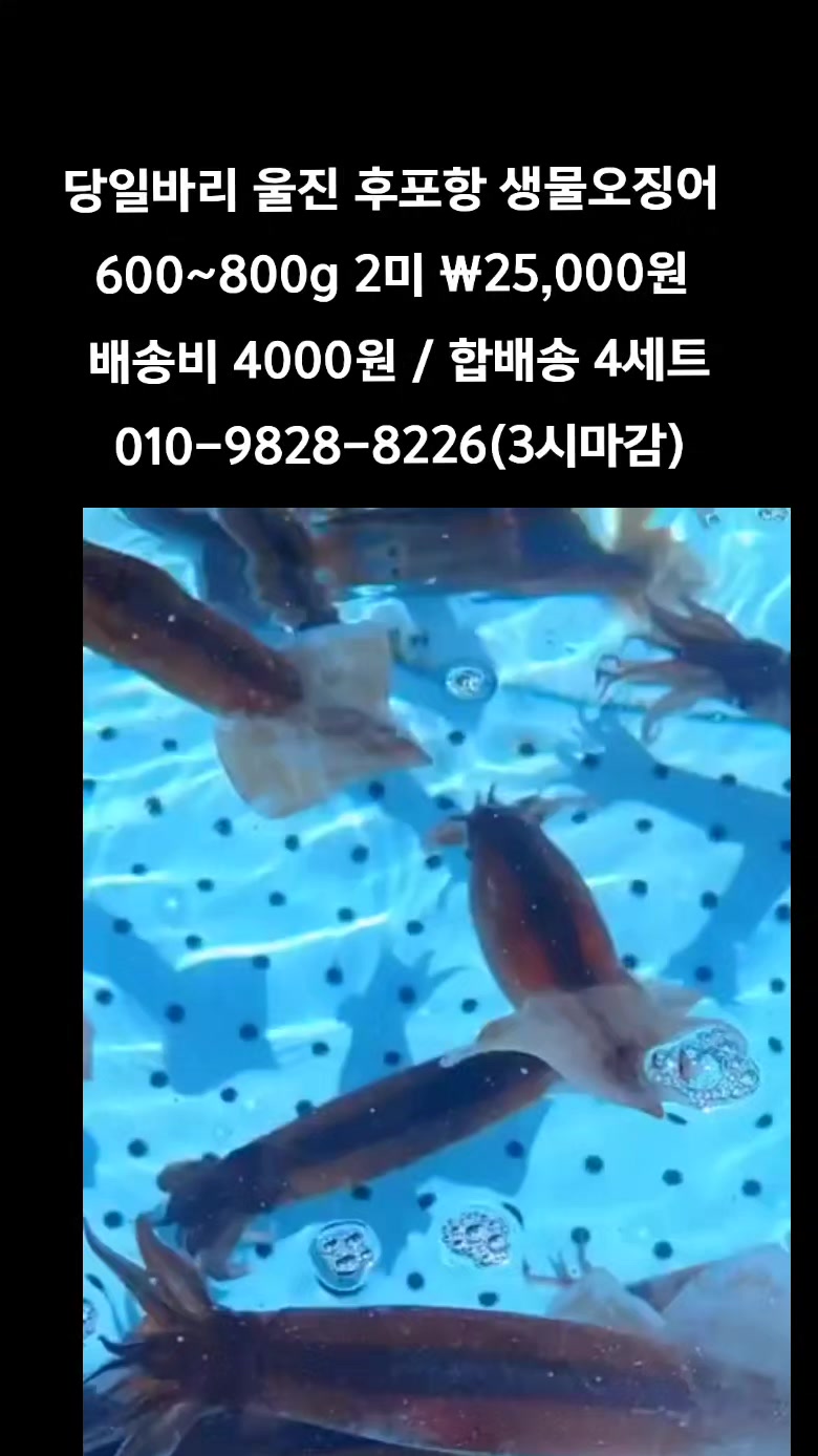 @똑손