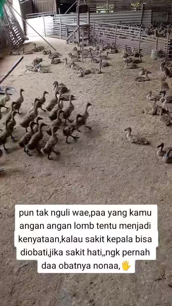 @Roni Yudianto