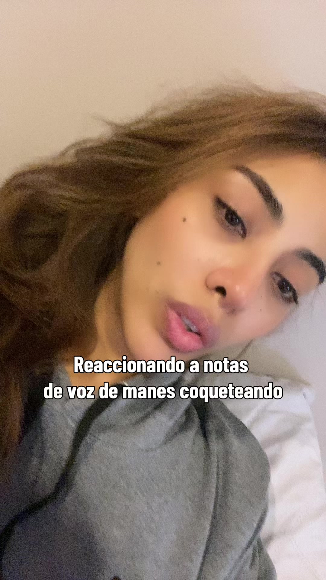 @sofilacuriosaa