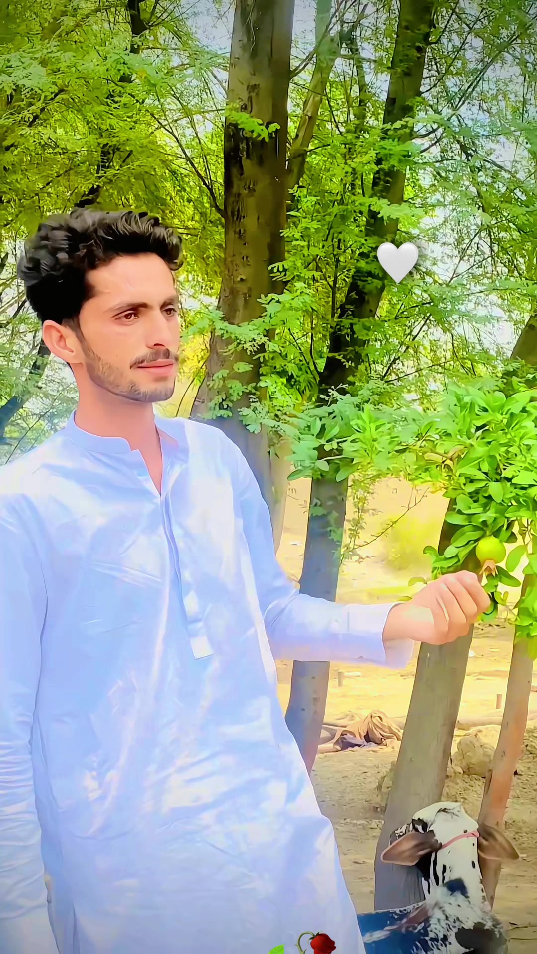@رضوان