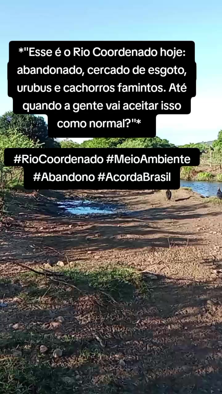 @Vida de Gente Normal 😊