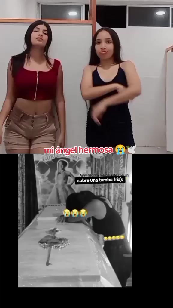 @🐧•