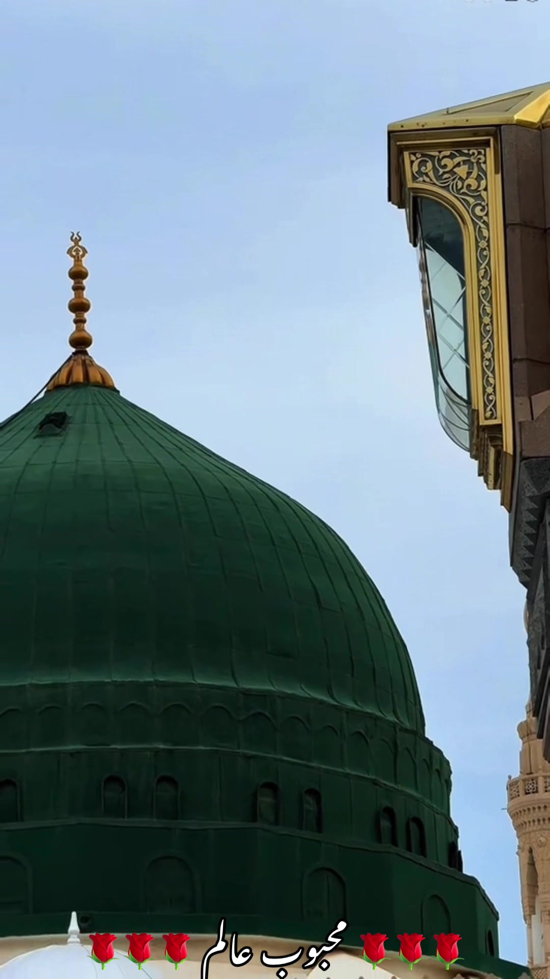 @محبوب عالم