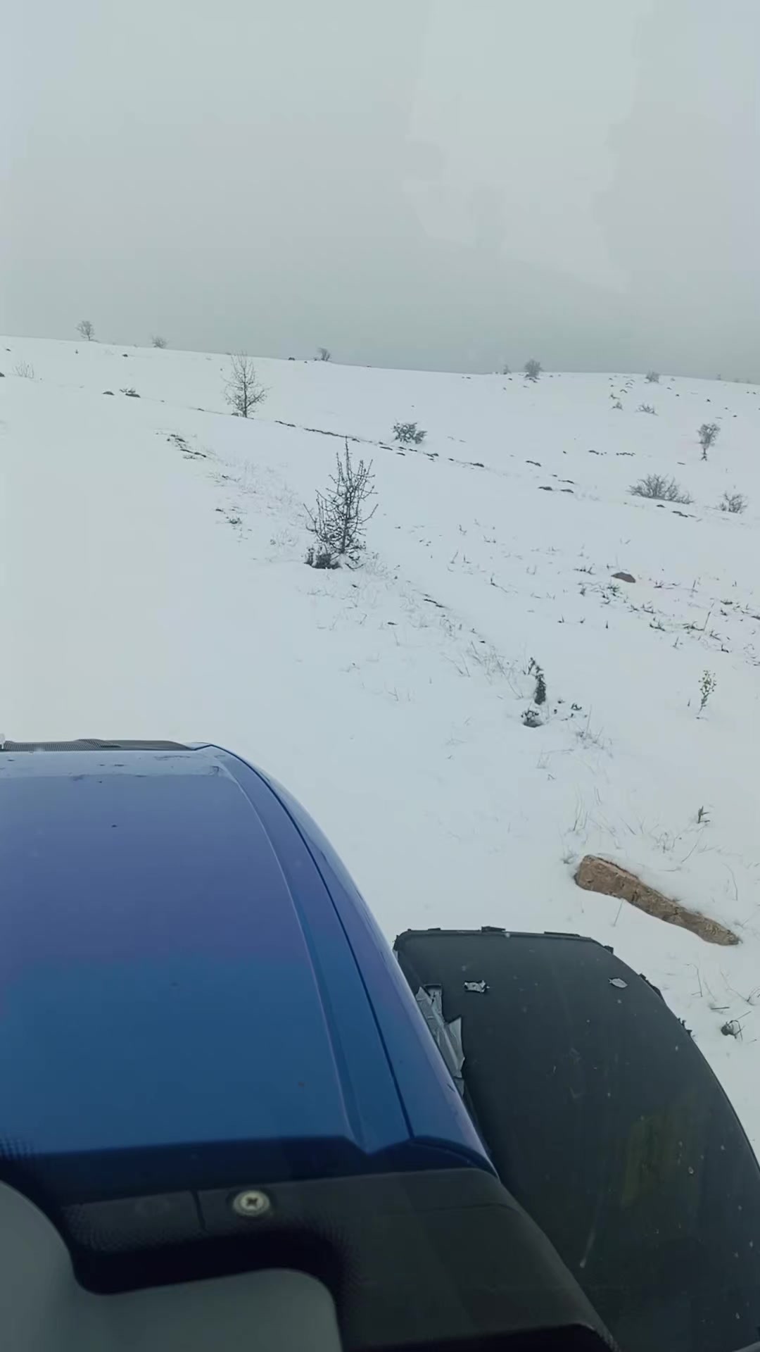 @03 Rak dayı