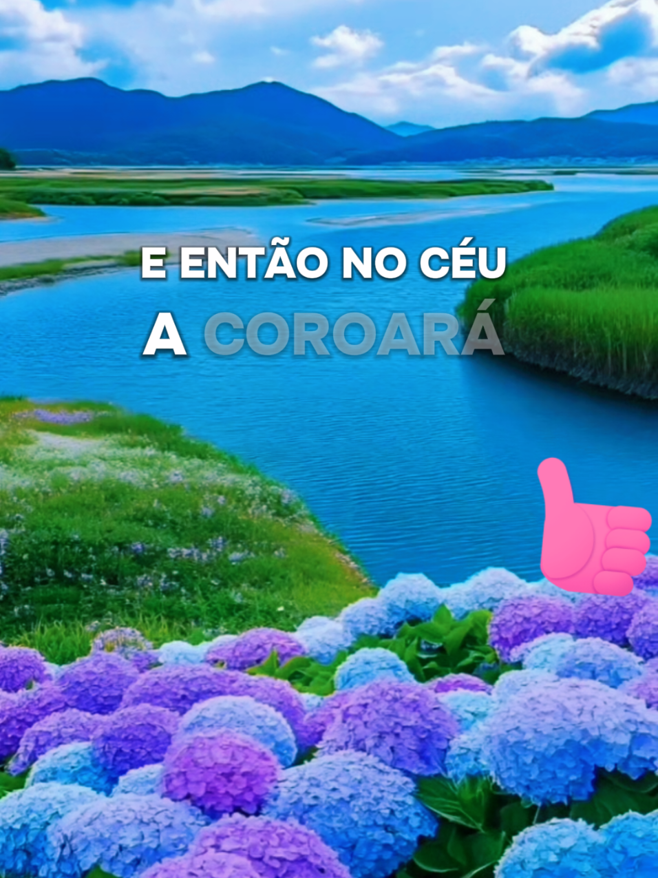 @Viva_CCB_oficial