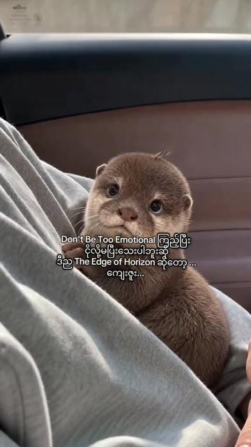 @BL Tales đłď¸đđłď¸đ