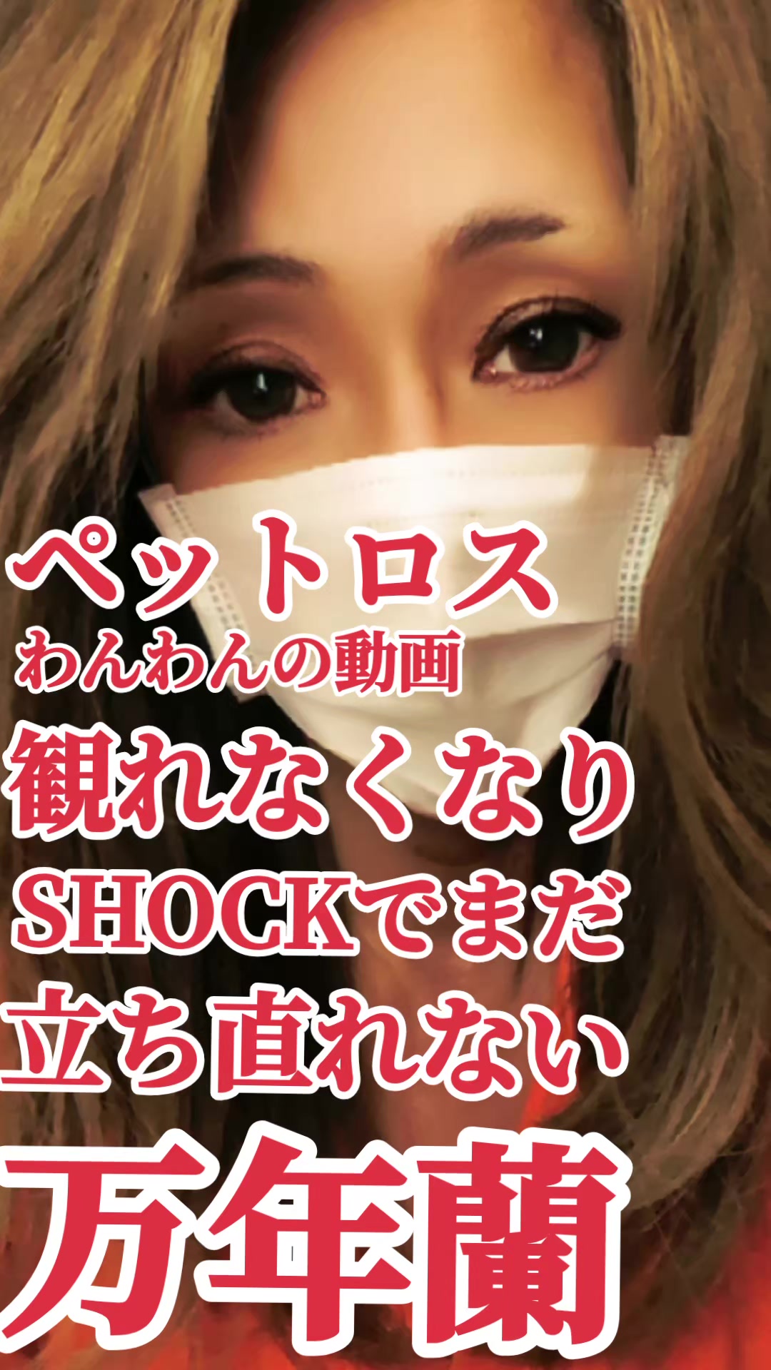 @万年　蘭