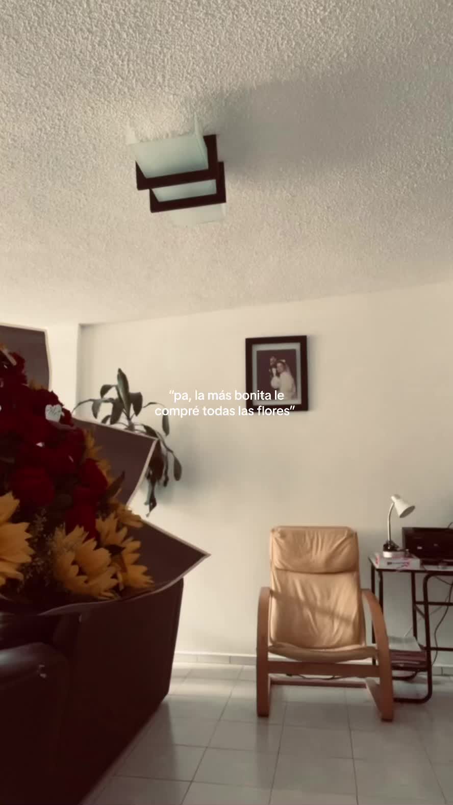 @dania.eh