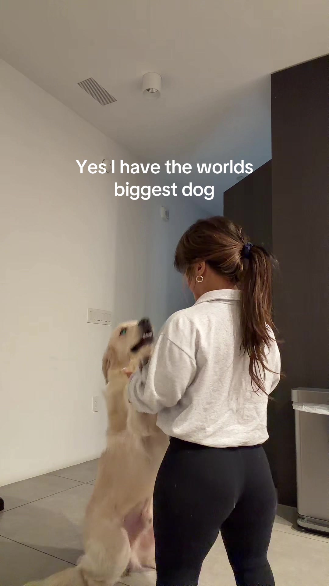 @erika