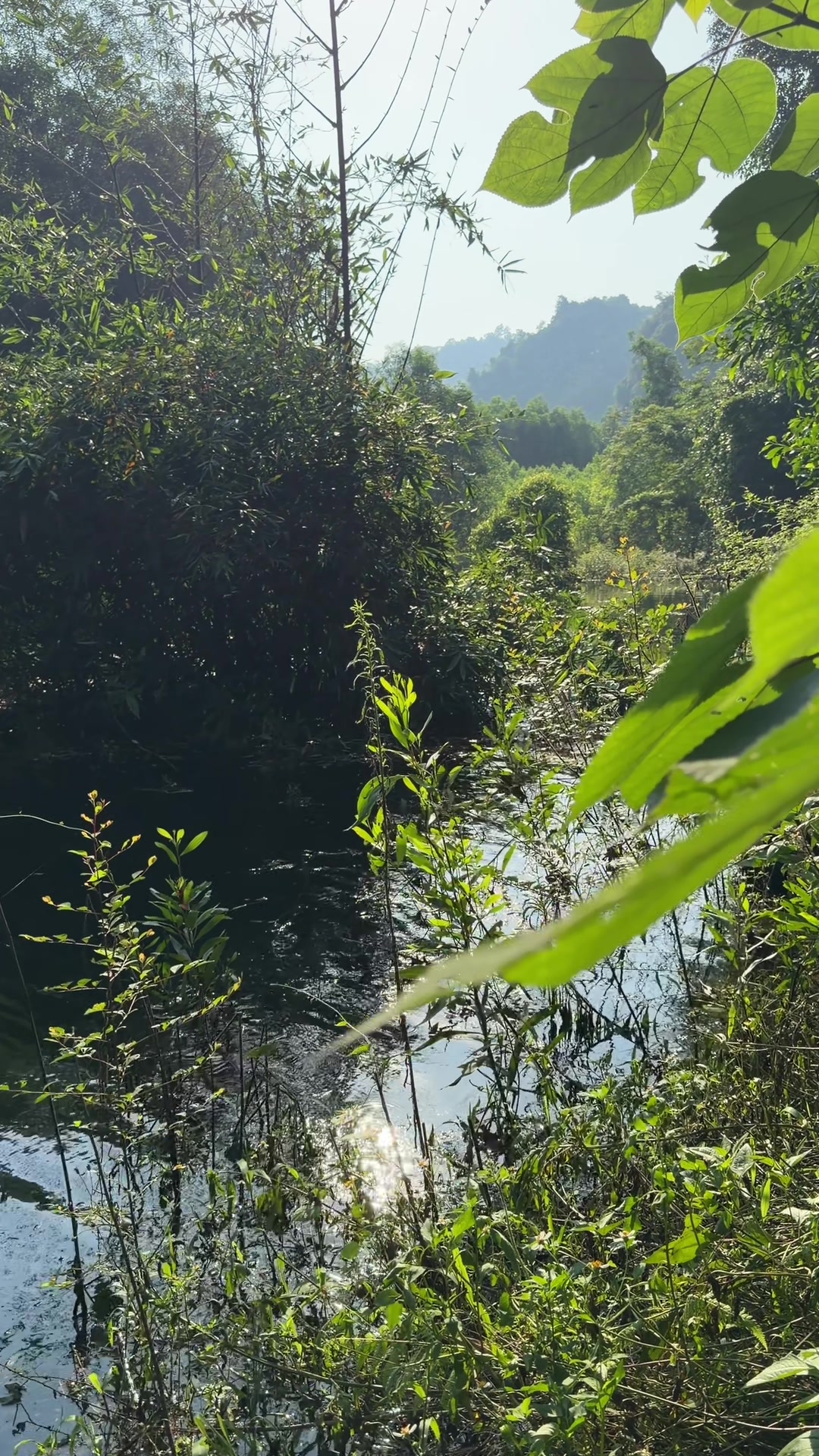 @Quốc khánh